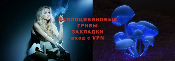 PSILOCYBIN Алексеевка