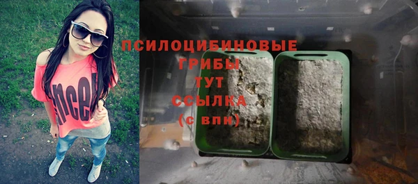 mdpv Арсеньев
