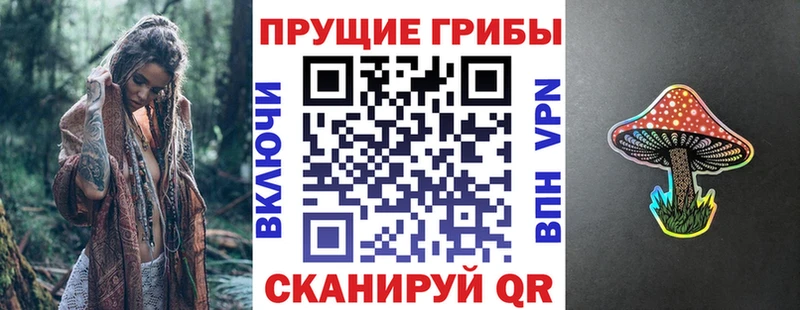 Псилоцибиновые грибы Psilocybine cubensis  гидра   Пласт 